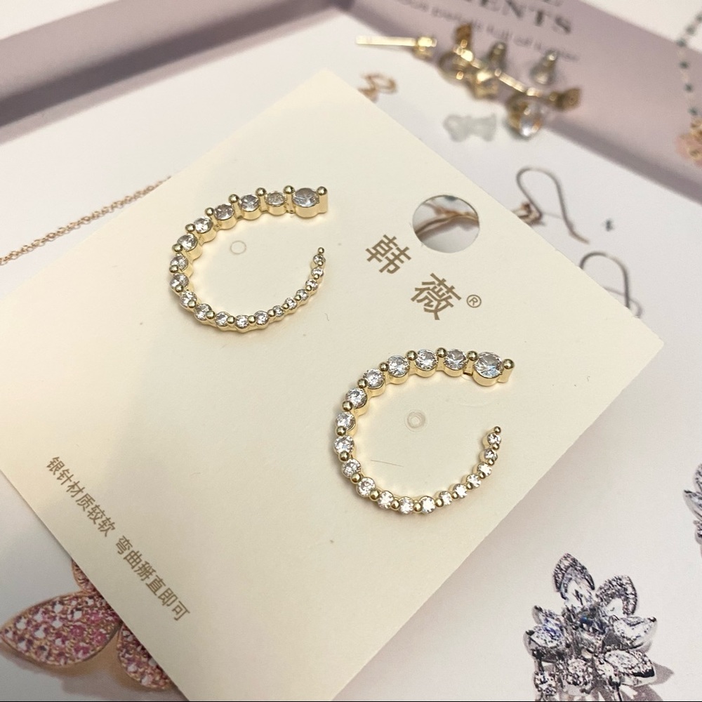 Zircon Women Earrings